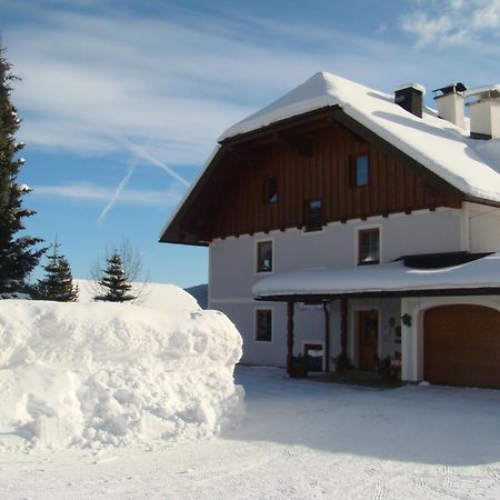 Ferienwohnungen Haus-Holzer Mauterndorf  Extérieur photo
