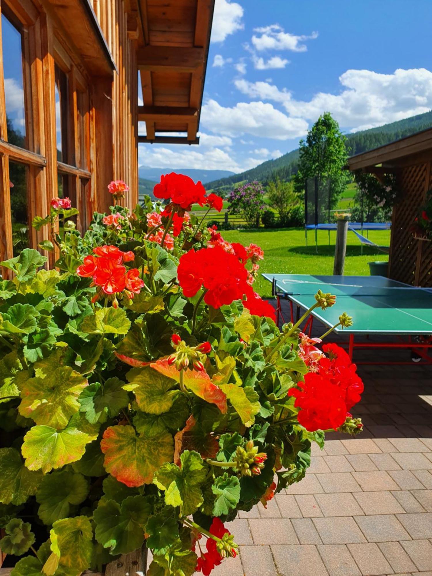 Ferienwohnungen Haus-Holzer Mauterndorf  Extérieur photo
