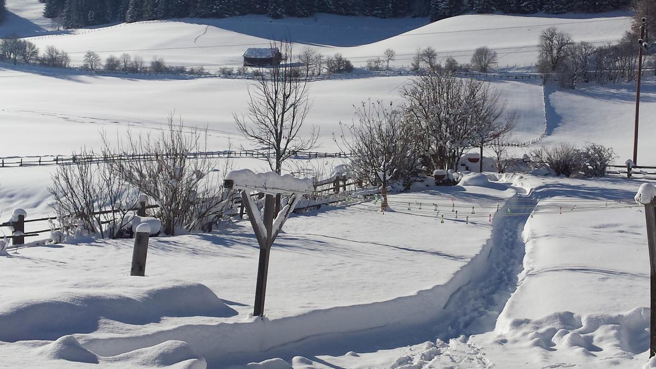 Ferienwohnungen Haus-Holzer Mauterndorf  Extérieur photo