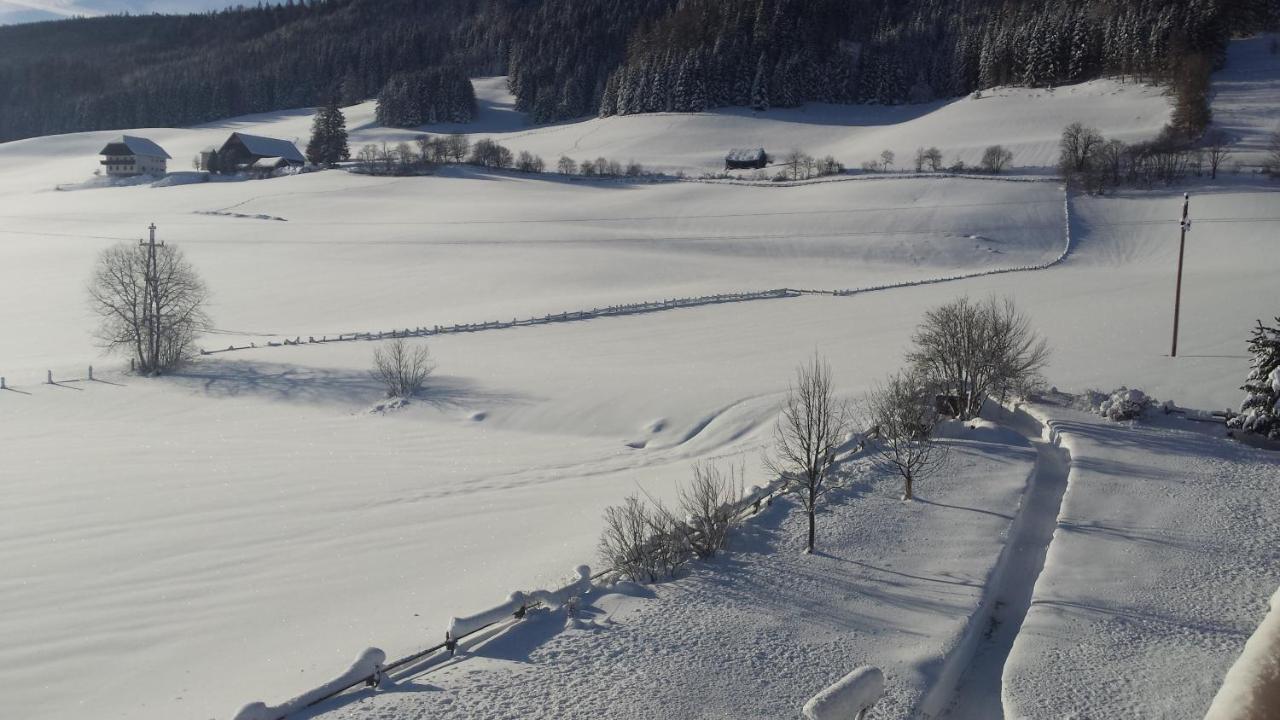 Ferienwohnungen Haus-Holzer Mauterndorf  Extérieur photo